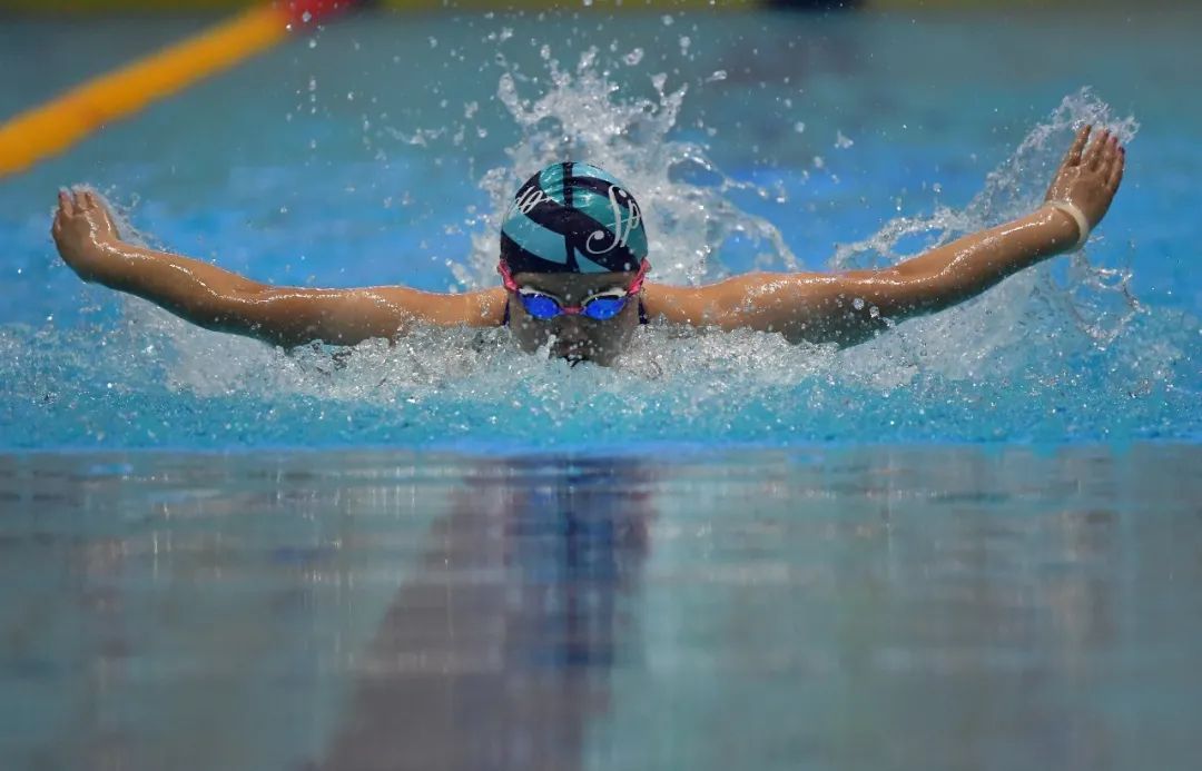 万像城体育官网